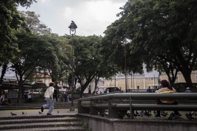 A city plaza under broad trees, with steps, curved benches, scattered pigeons and a few people sitting in the shade.