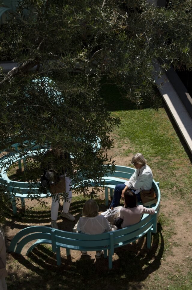 Seen from above, people sitting along a curving green bench that winds around a tree.